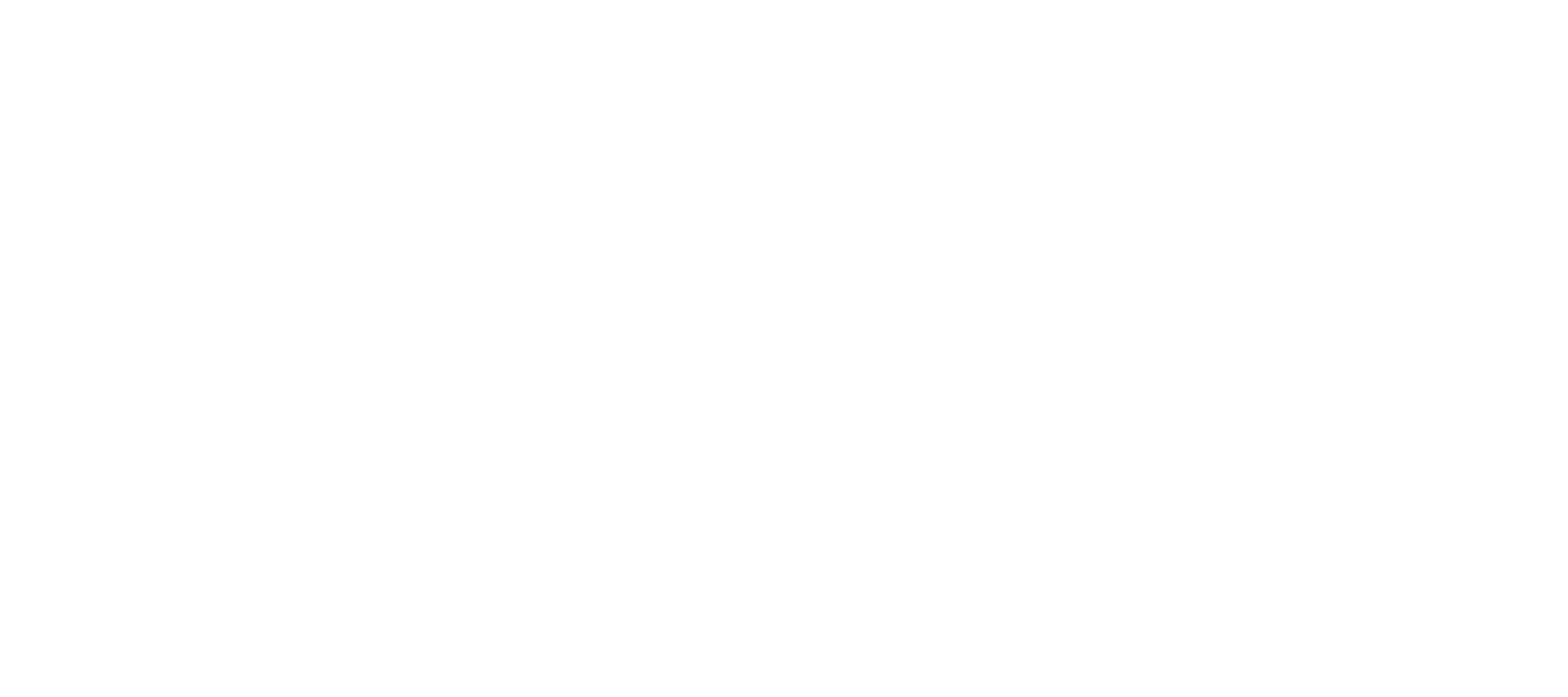 Outsource Logo White